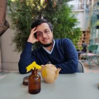 سید علیرضا حامدی