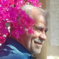 محمد شاطر کریمی